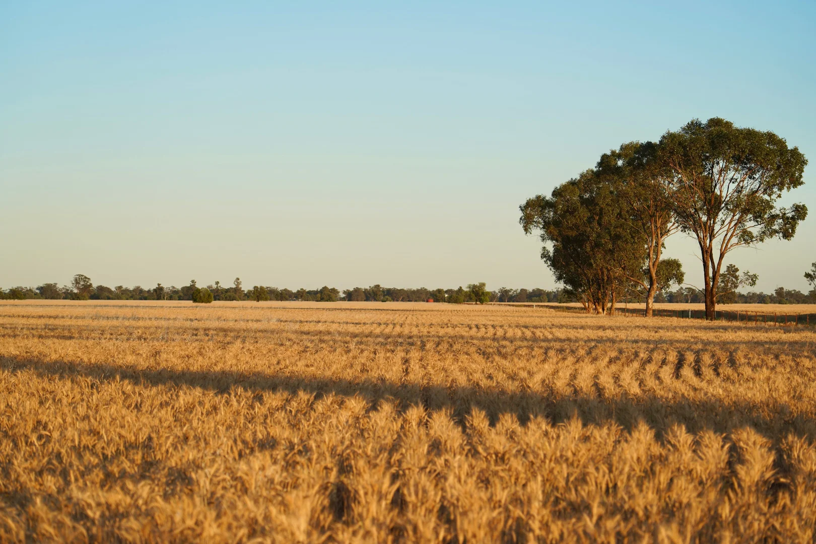 Image 35