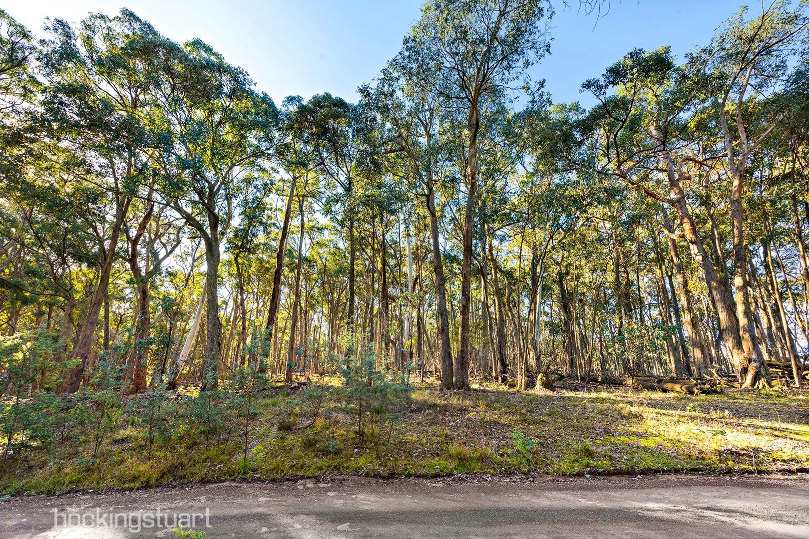 100 Wallaby Road, Wheatsheaf VIC 3461, Image 0