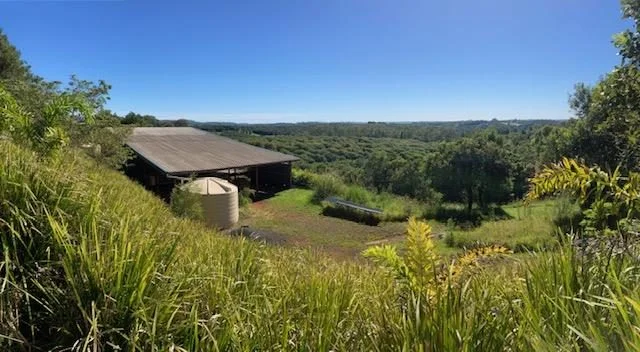 Additional image 5 of 40 Rayward Road, Dunoon NSW 2480