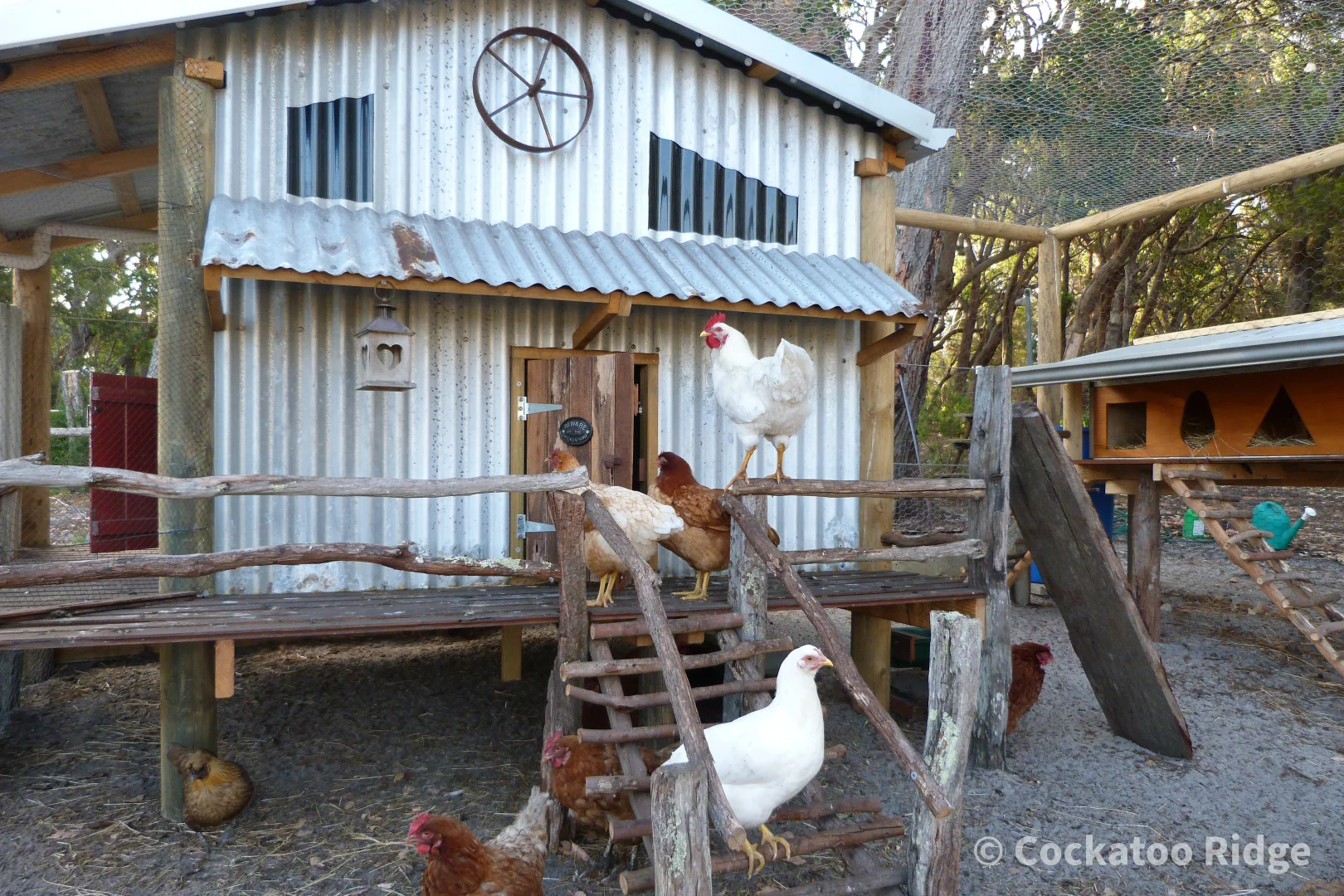 Additional image 39 of 96 Rudgyard Place, Hay WA 6333