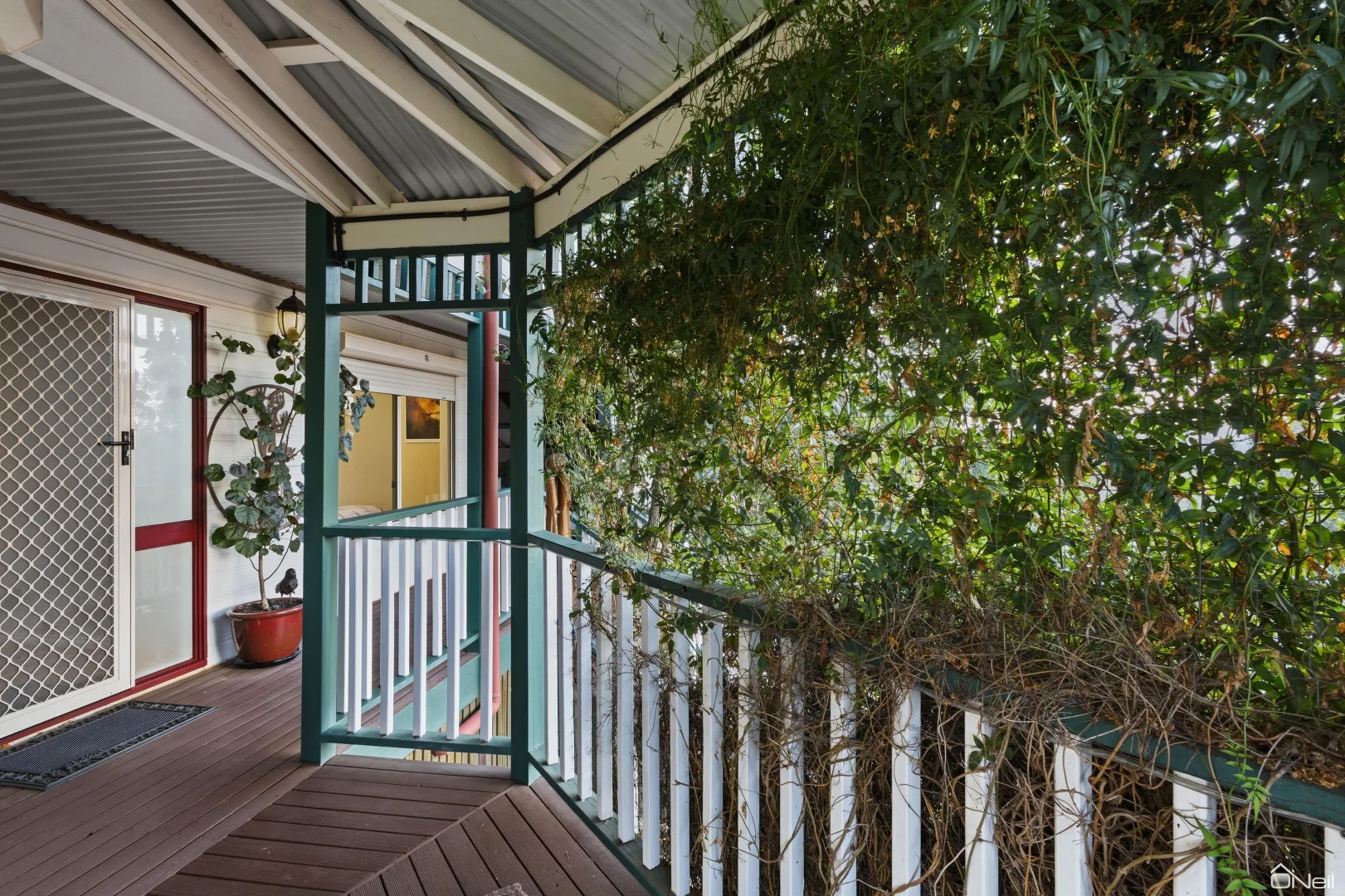 Image 11