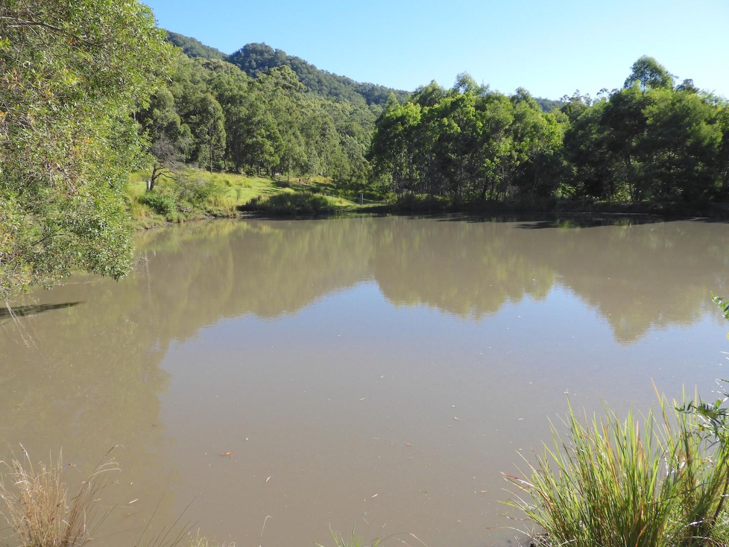 Old Bonalbo NSW 2469 Vacant Land for Sale 360,000 Domain