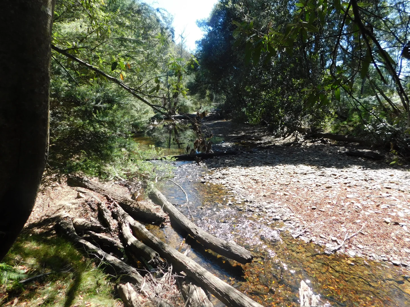 Image 13