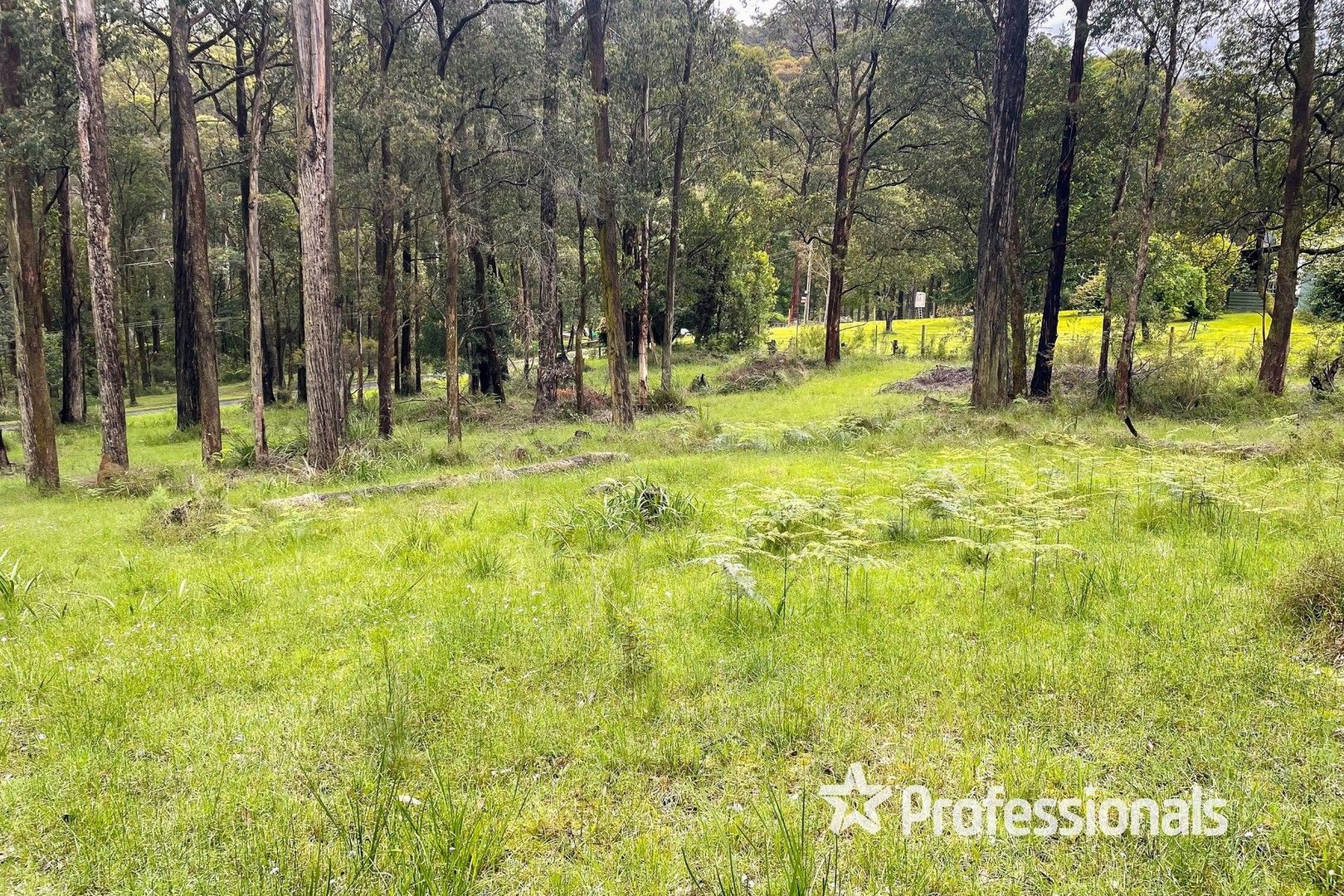 159 Fisherman Drive, Reefton VIC 3799 Domain