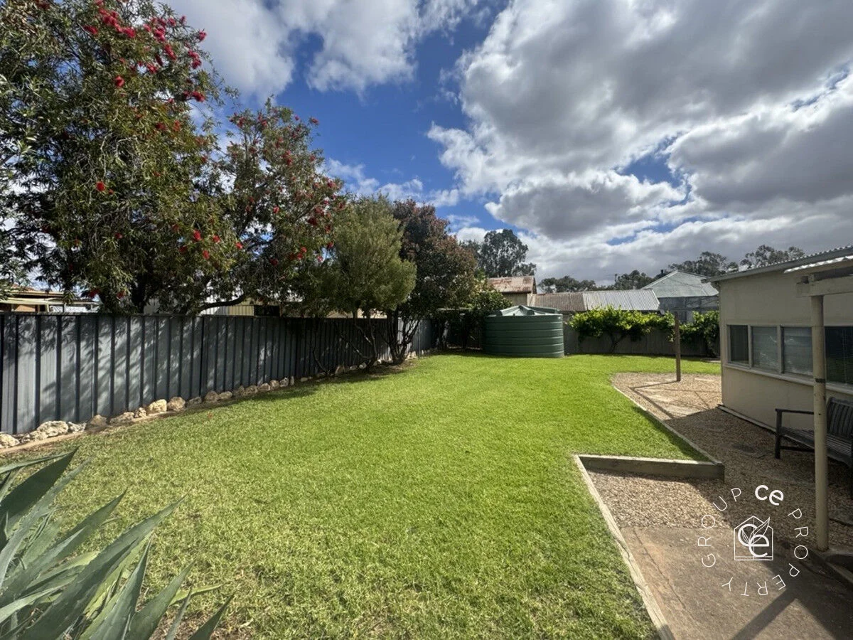 Image 15