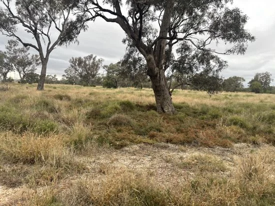 Additional image 2 of 92 Castlereagh Highway, Walgett NSW 2832