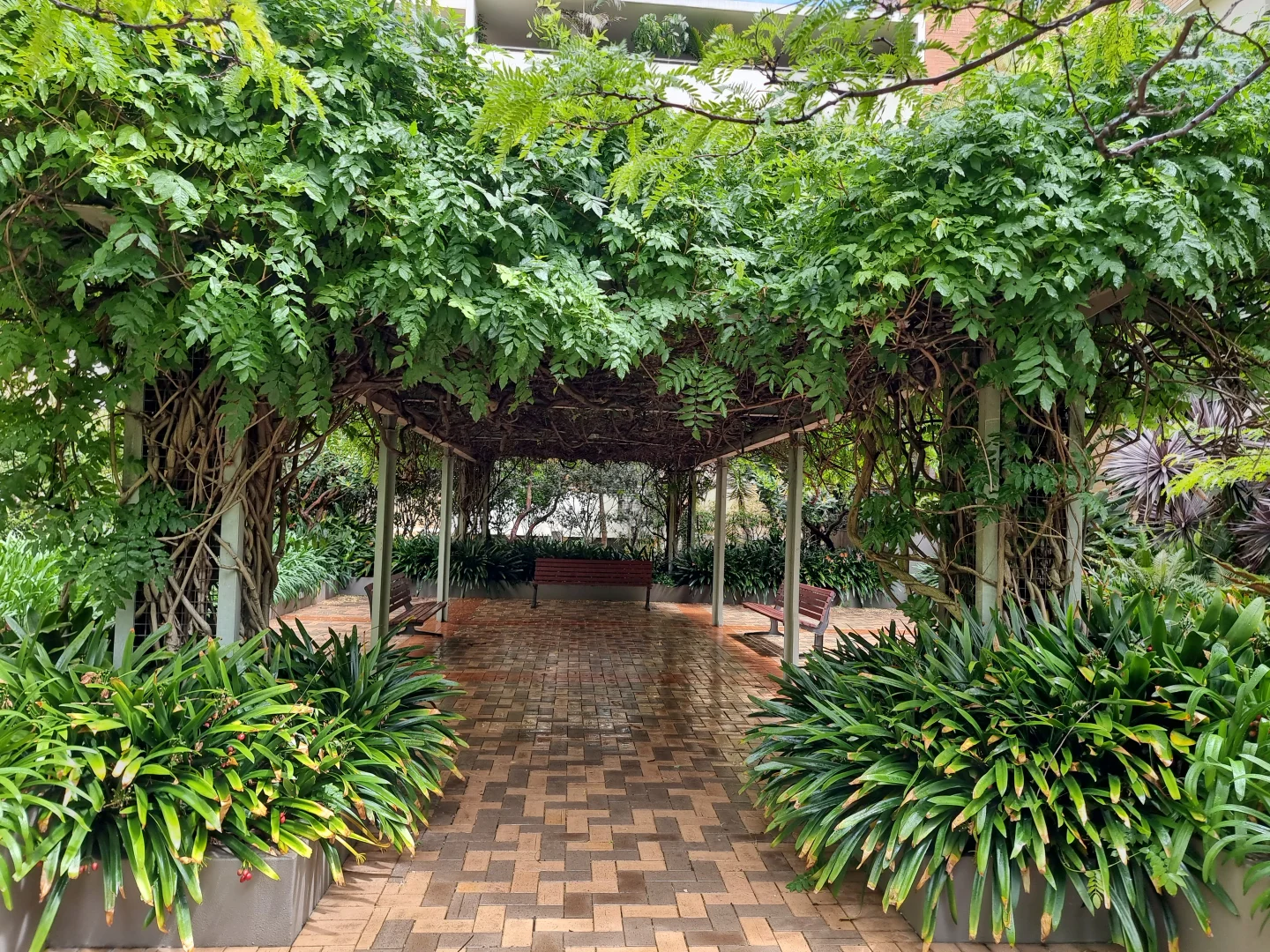 Additional image 7 of c404/6 Crescent St, Redfern NSW 2016