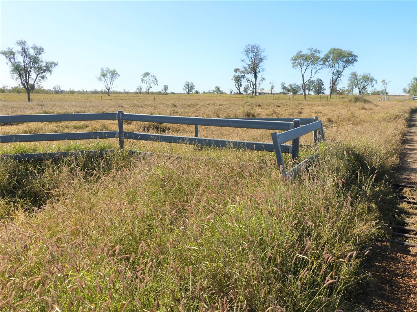 Woodside South Woodside Road, Roma QLD 4455, Image 1