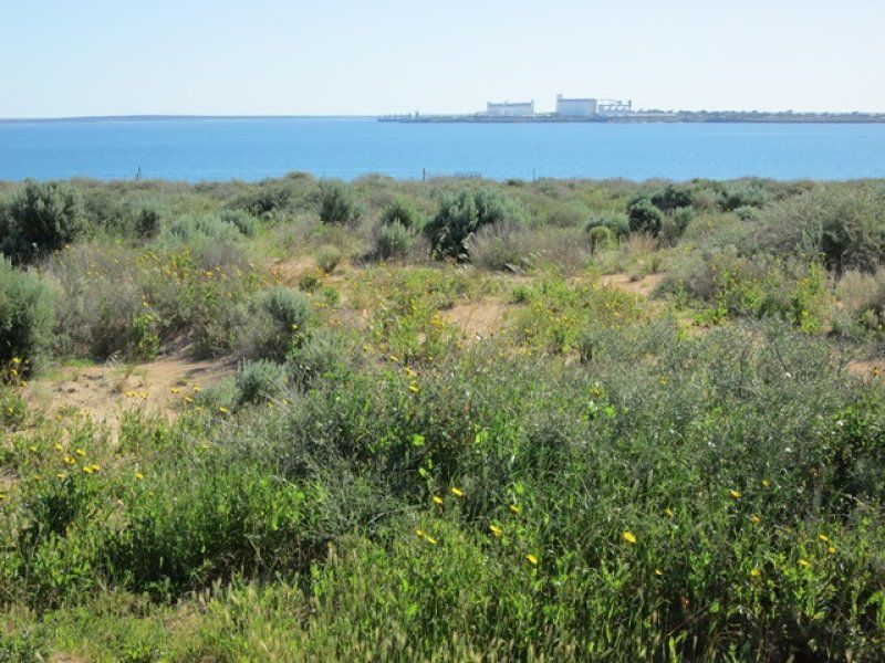 Lot 74 Bosanquet Blvd Ceduna Waters, Ceduna SA 5690, Image 0