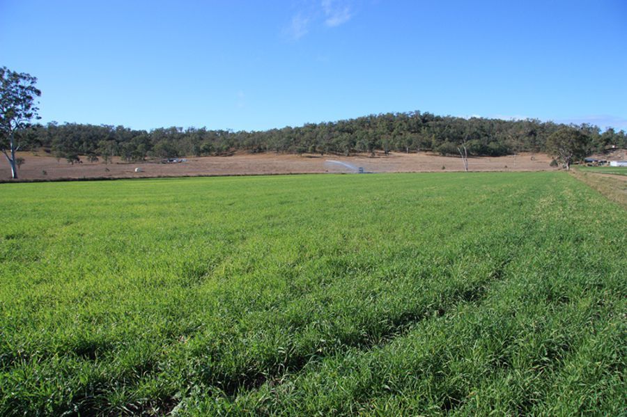 Tansey QLD 4601, Image 0