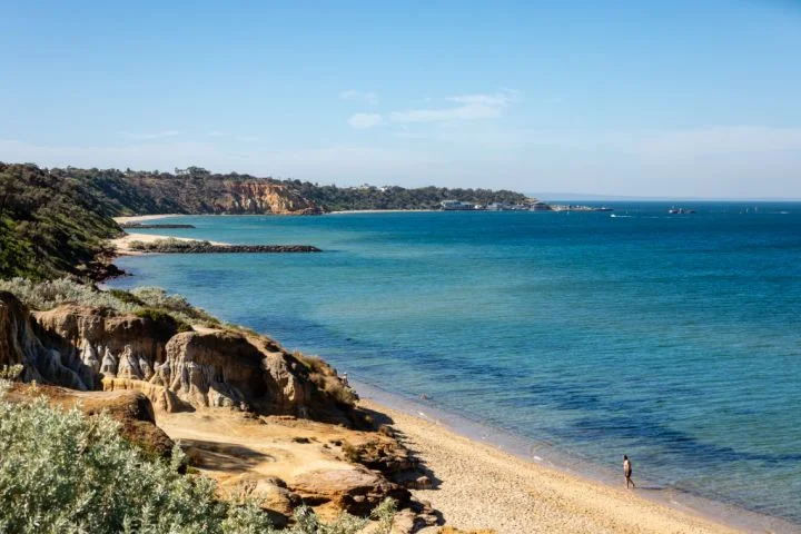 Additional image 12 of 15/19 Abbott Street, Sandringham VIC 3191