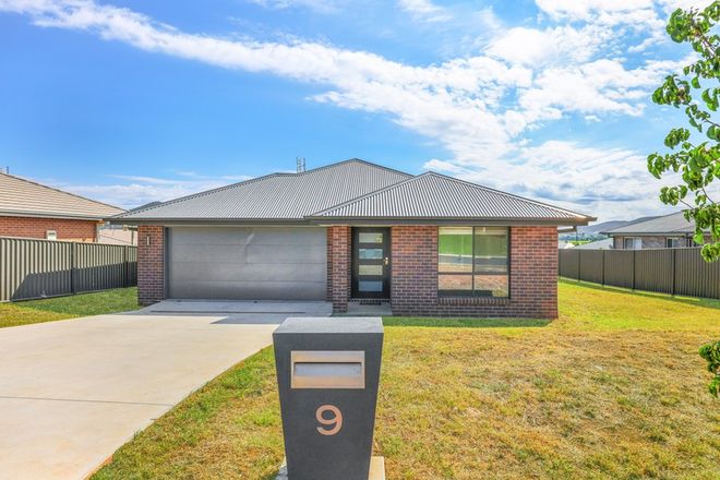 Picture of 9 Ibis Street, TAMWORTH NSW 2340