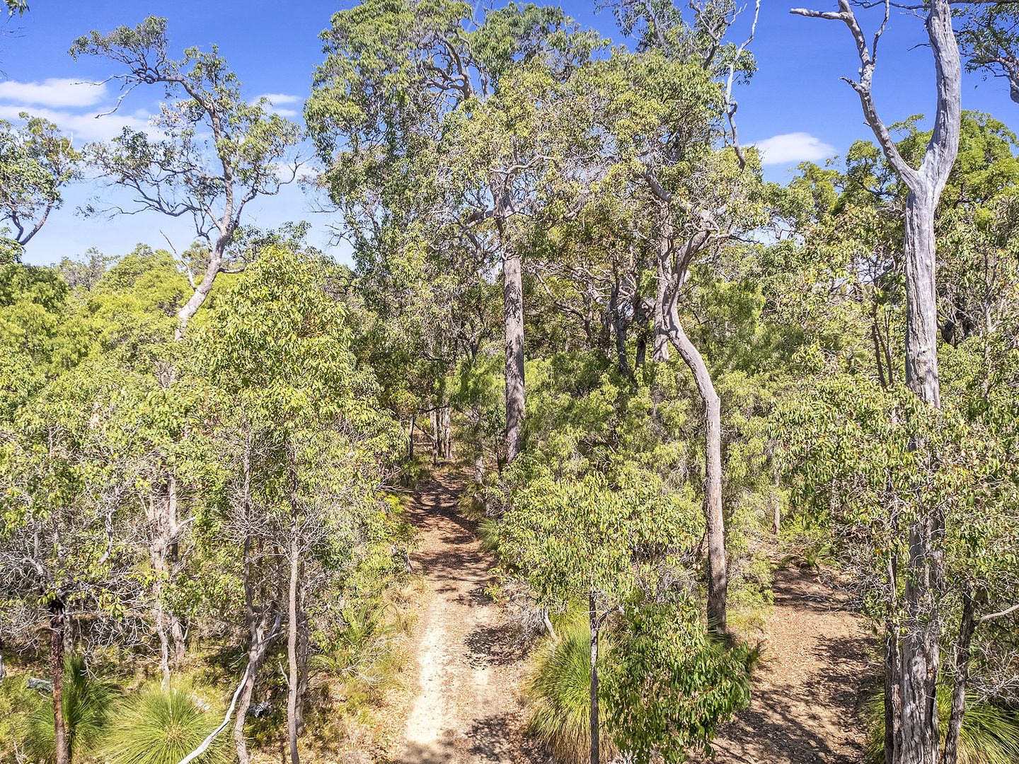 19 Rangnow Place, Margaret River WA 6285, Image 1