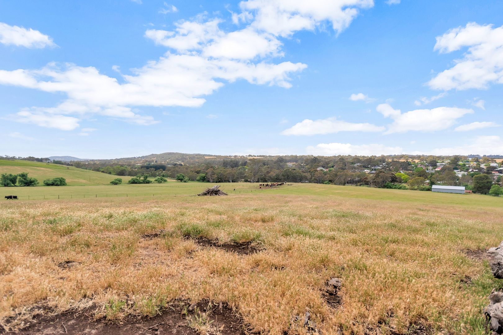 Lot 51 Tiers Road, Woodside SA 5244, Image 2