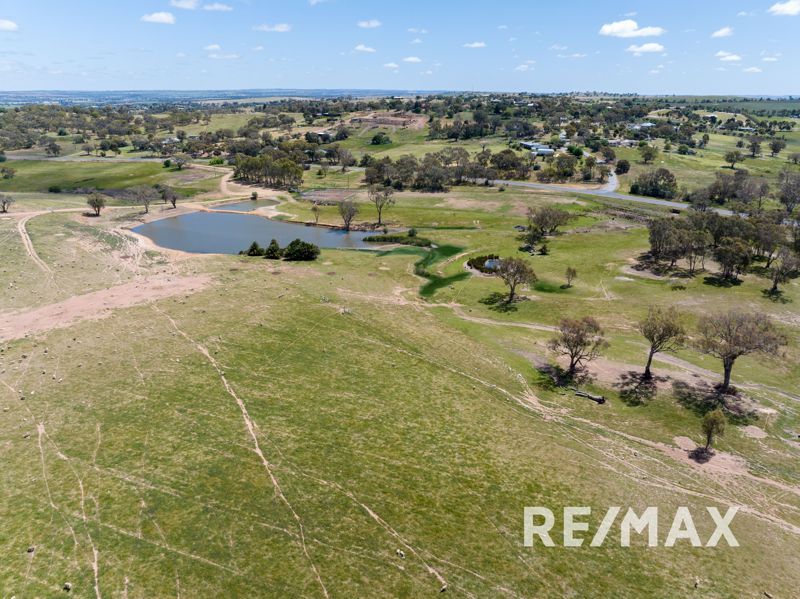 5919 Gundagai Road, Junee NSW 2663, Image 0