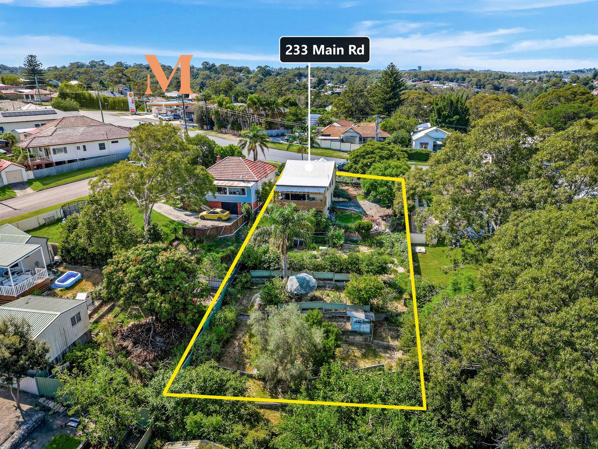 233 Main Road, Cardiff NSW 2285, Image 0