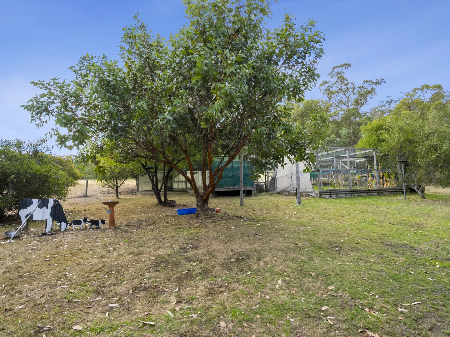 Image 35