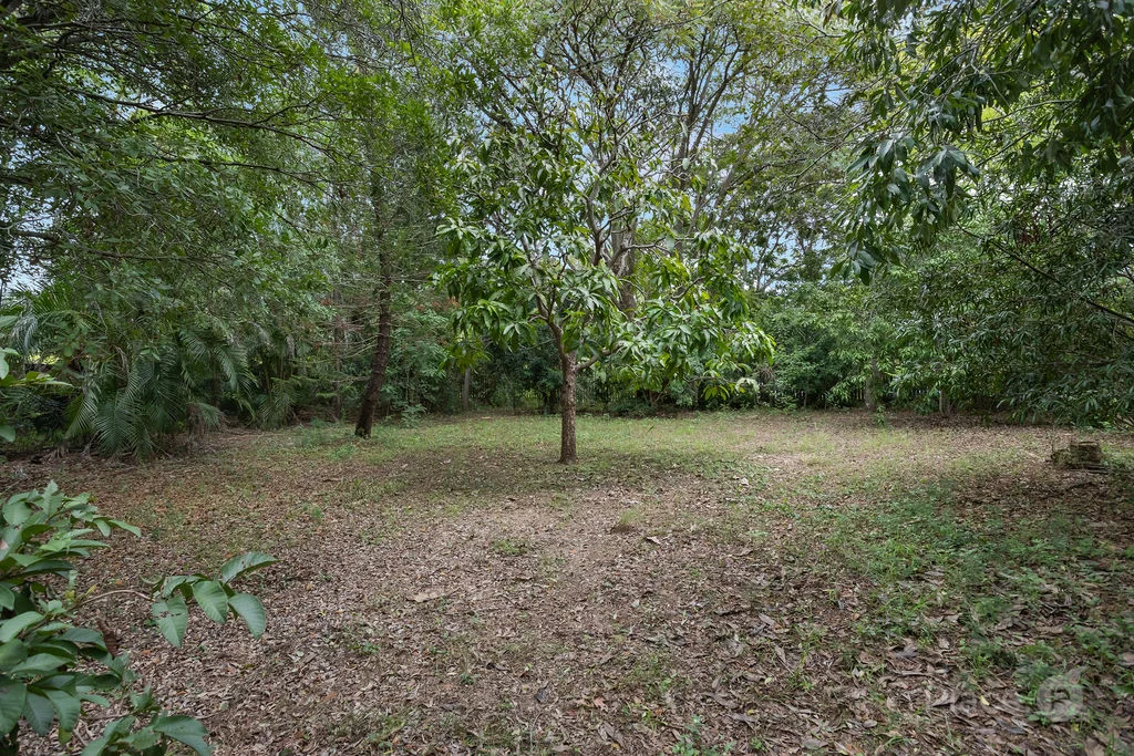 Image 30