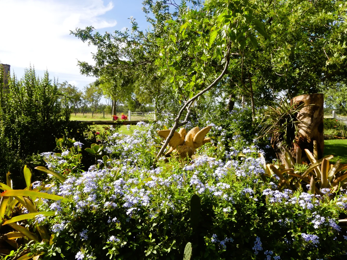 Additional image 7 of 'Langley' 344 Clarke Creek Road, Dulacca QLD 4425