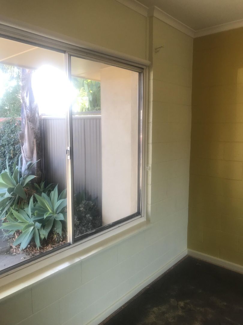 1/67 Bray Street, Plympton Park SA 5038 Apartment For Rent Domain