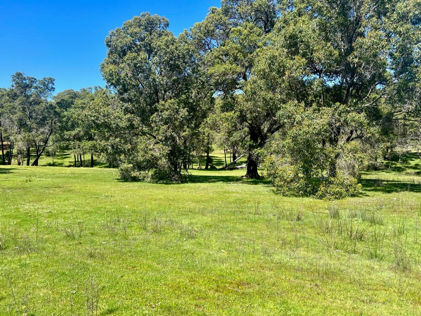 59 Lyons Road, Waroona WA 6215, Image 1