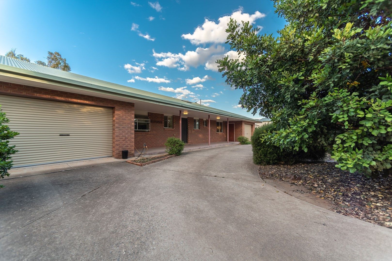 56 Galore Street, Lockhart NSW 2656, Image 0