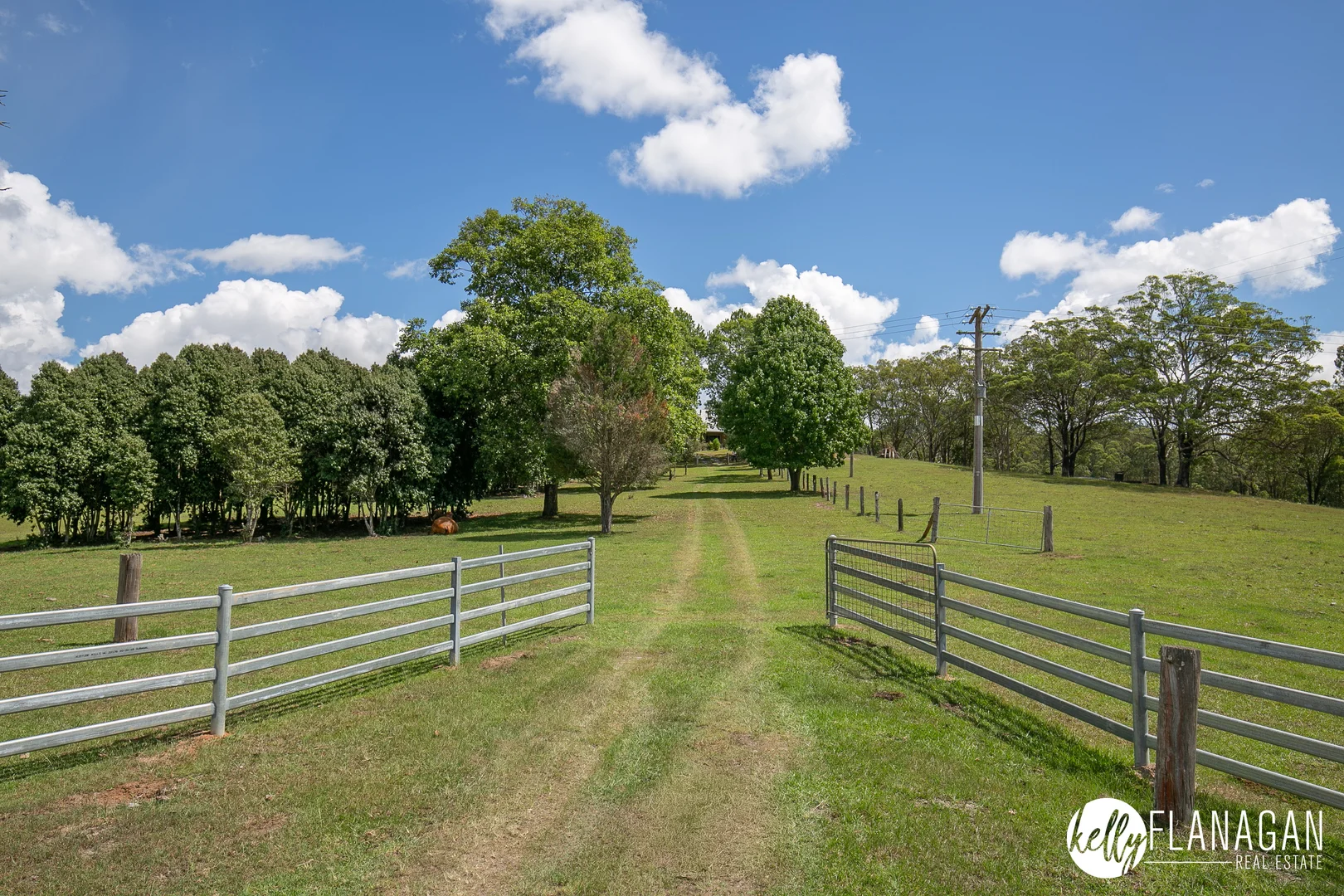 Additional image 3 of 111 Brassils Creek Road, Toorooka NSW 2440