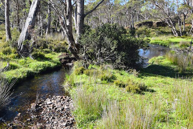 01 Cradle Mountain Road, Moina TAS 7310, Image 0