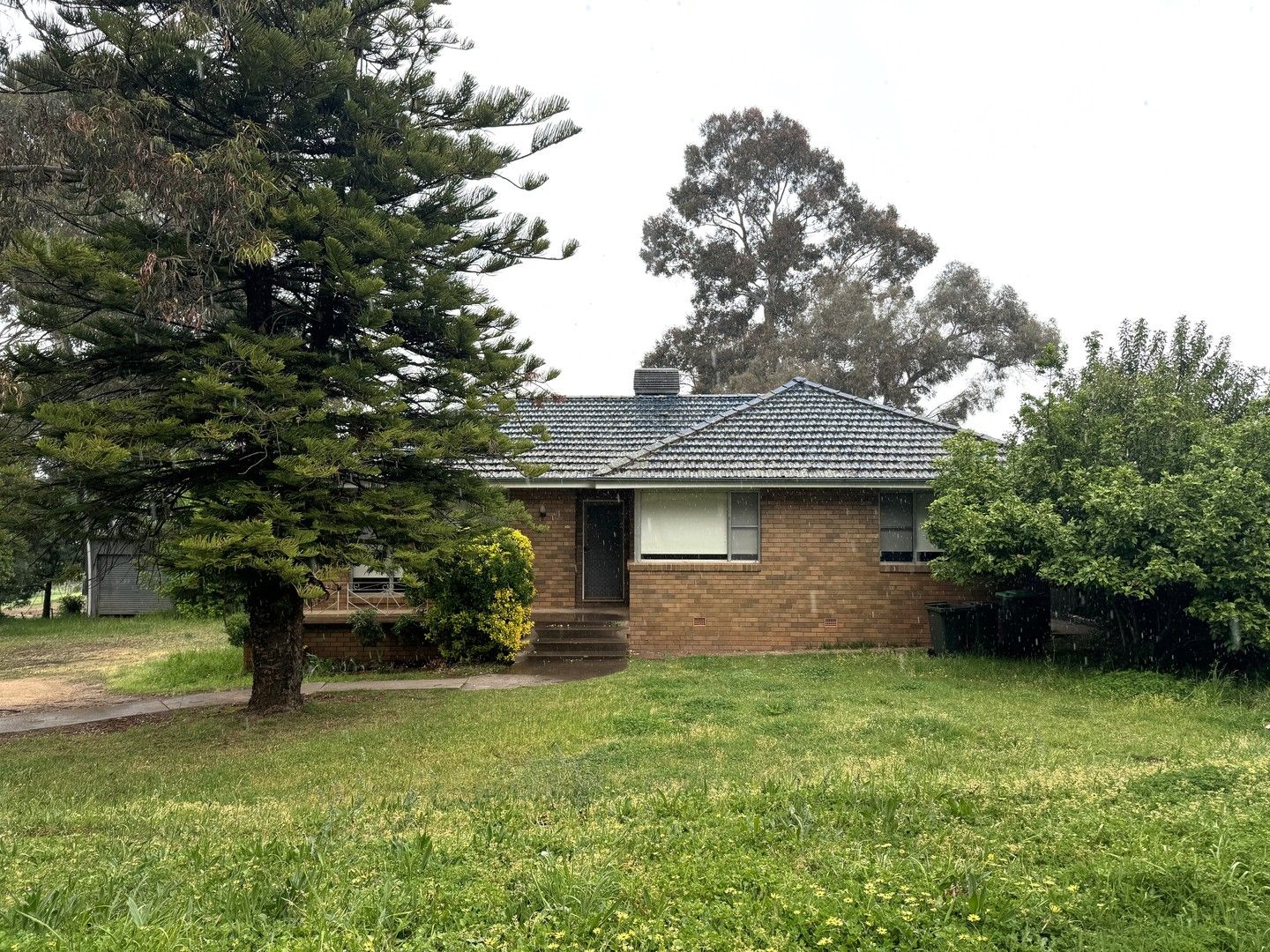4 bedrooms House in 20 Prospect Street YOUNG NSW, 2594