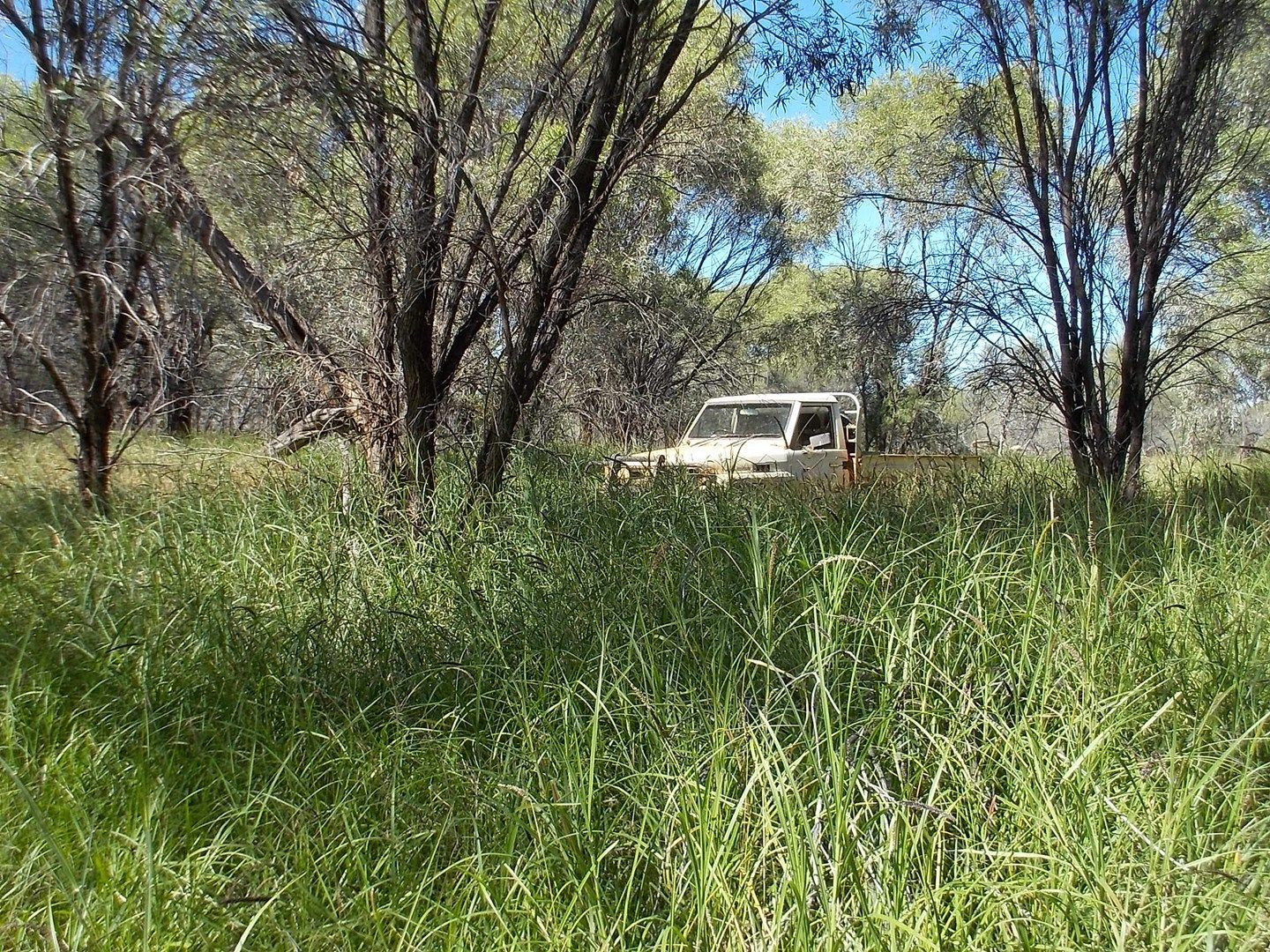 Pingandy Station via Meekatharra, Meekatharra WA 6642, Image 0