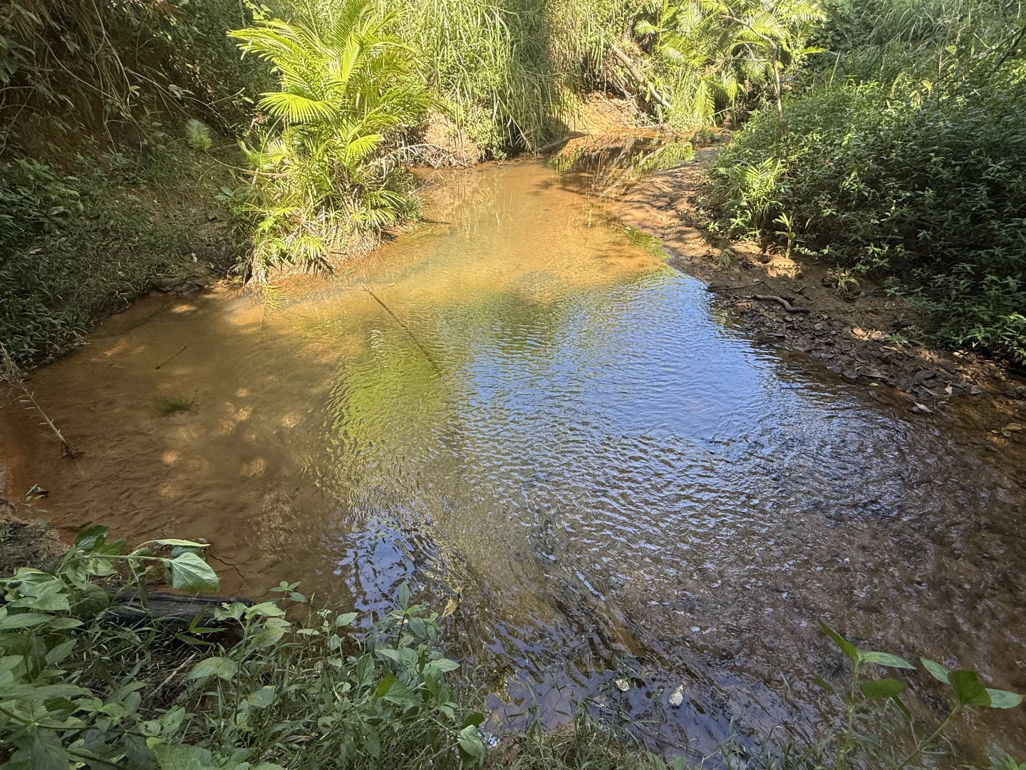 Image 13
