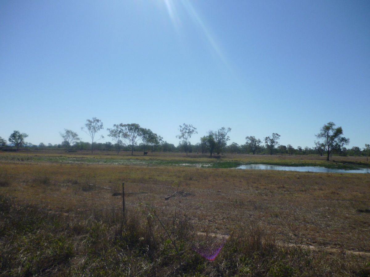 Lot  113 Edwards Road, Pink Lily QLD 4702, Image 0