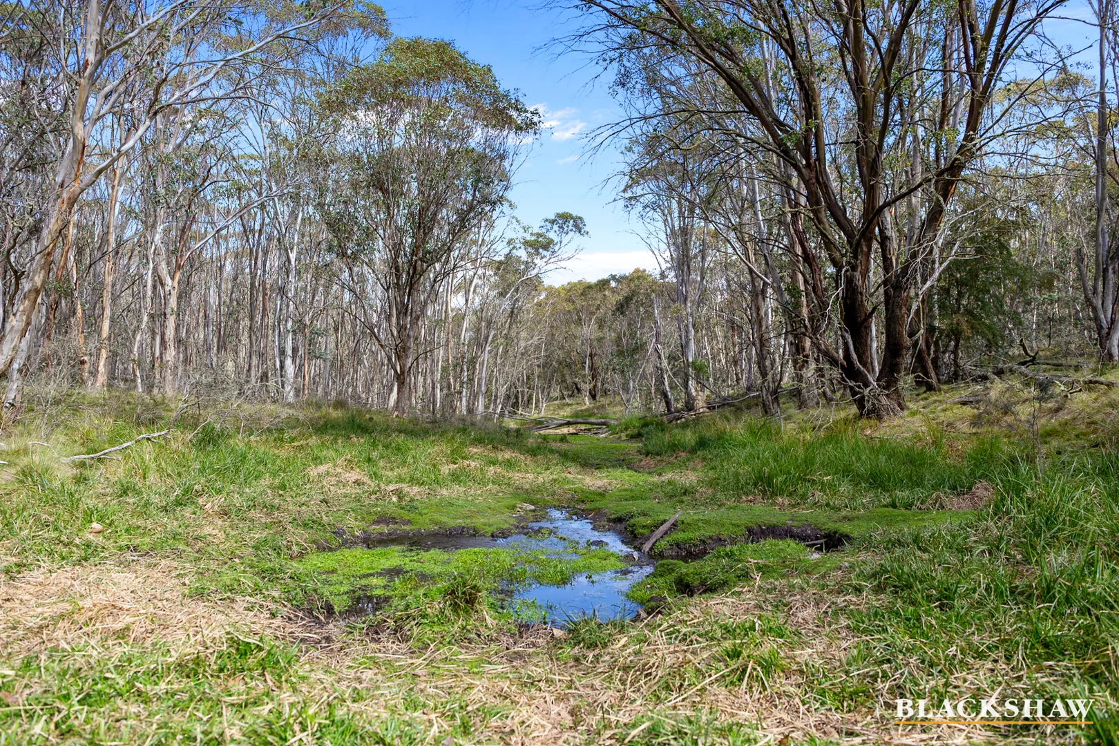 Additional image 19 of Lot 18+19 Calabash Road, Tinderry NSW 2620