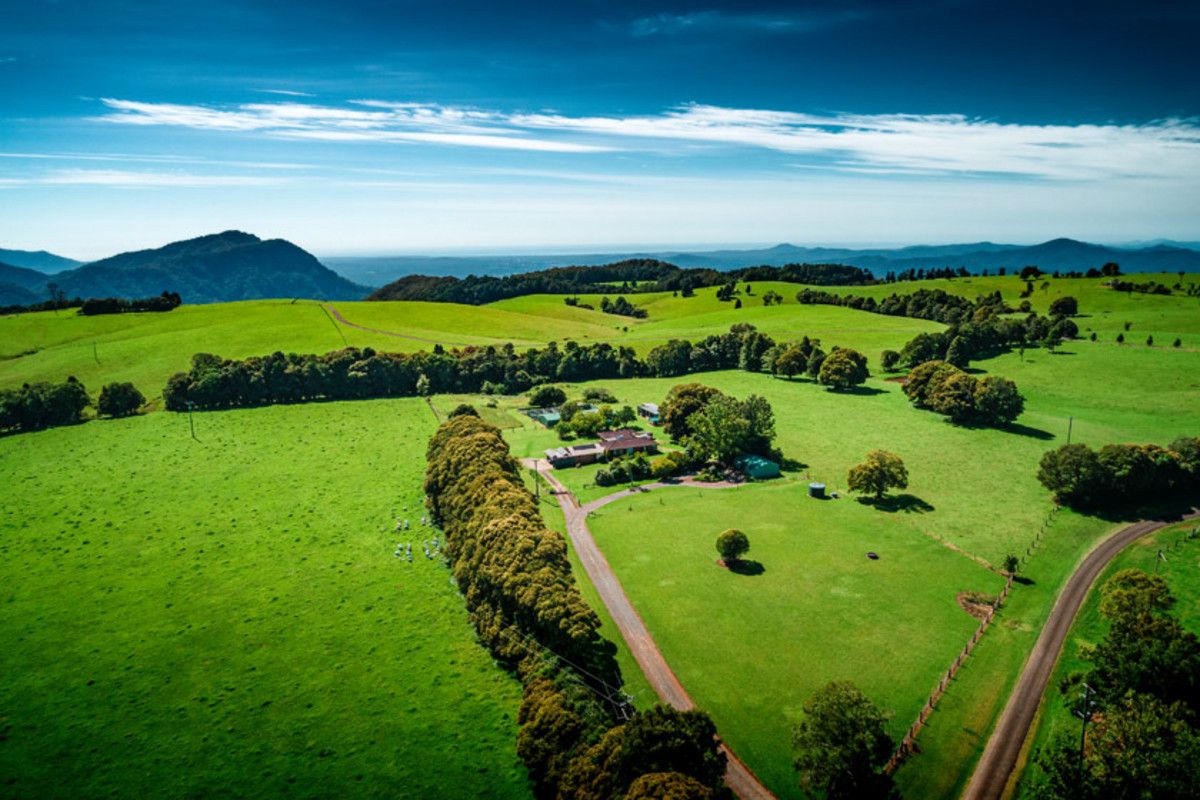 121 Mountain Top Road, Dorrigo NSW 2453, Image 1