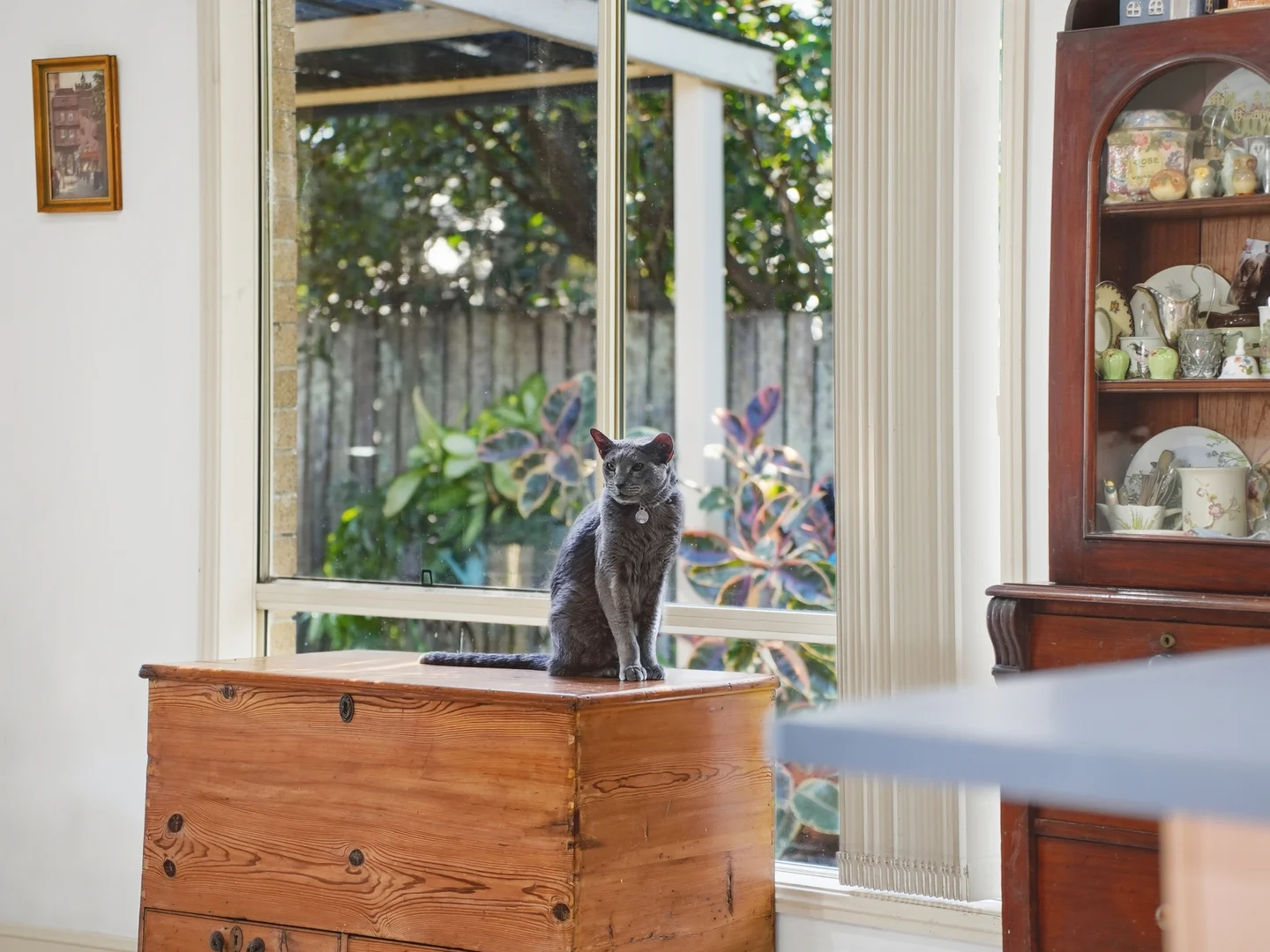 Additional image 7 of 46 Coramba Street, Glenreagh NSW 2450