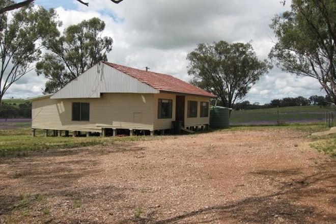 Picture of 31 Magill Lane, PARKES NSW 2870