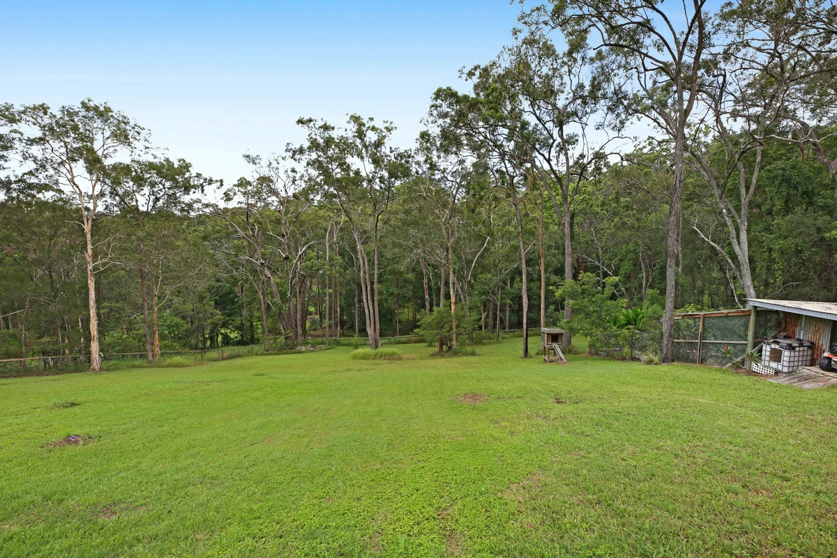 Image 13