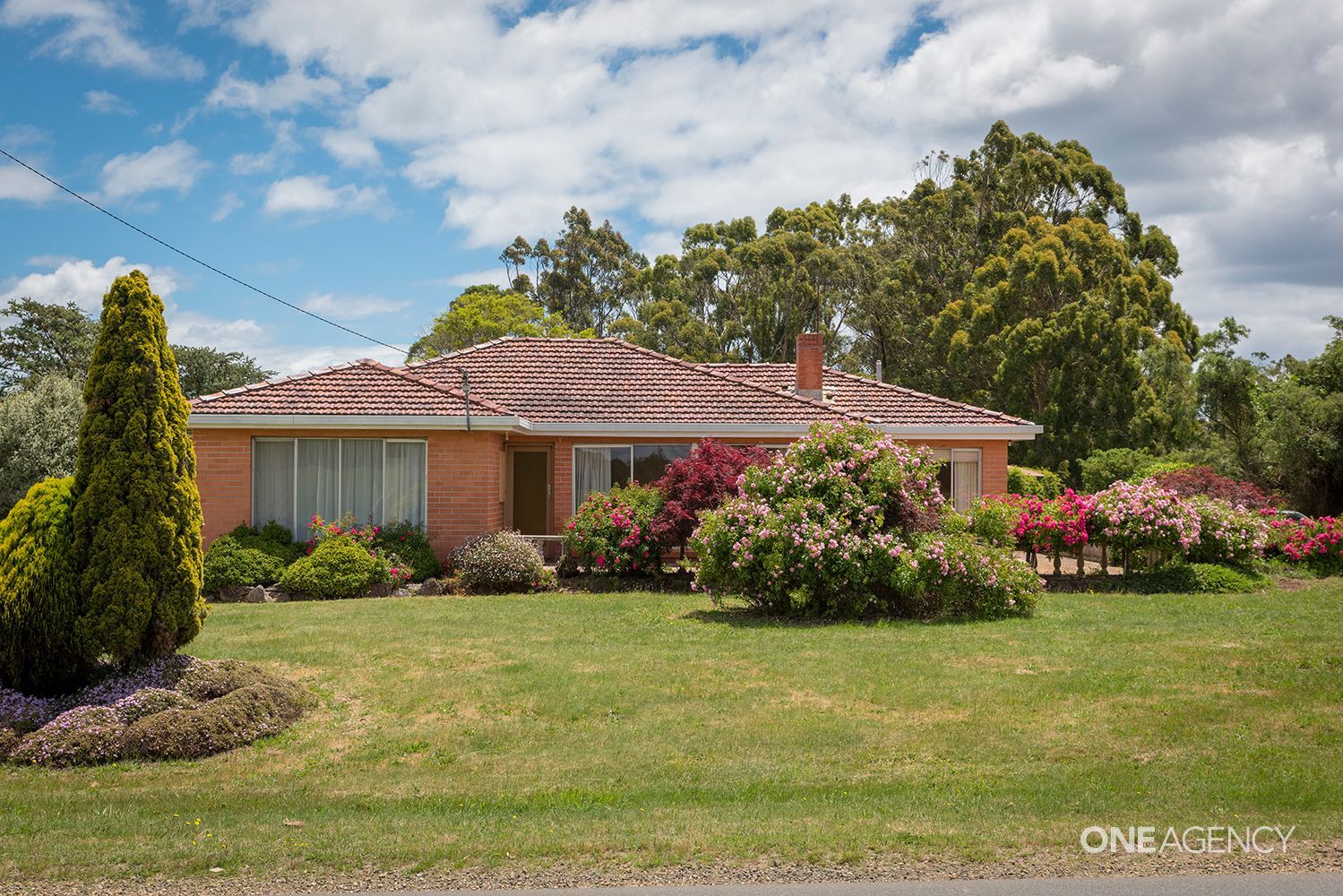 242 Calder Road, Wynyard Property History & Address Research Domain