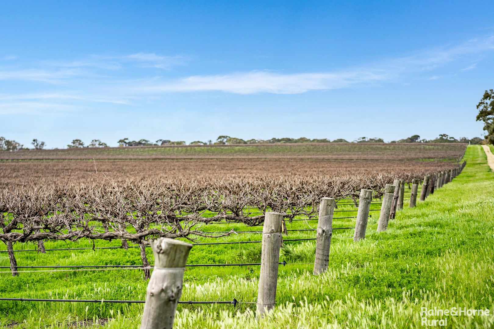 A5 Langhorne Creek Road, Langhorne Creek SA 5255, Image 2