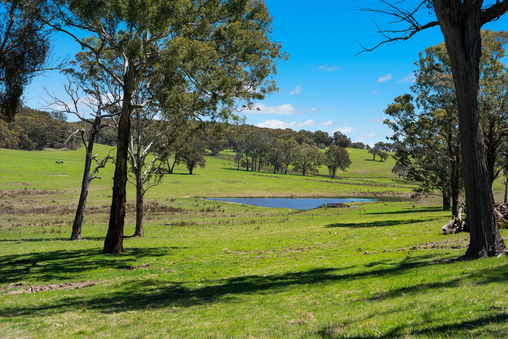 Additional image 25 of 329 Bridge Creek Road, Binda NSW 2583
