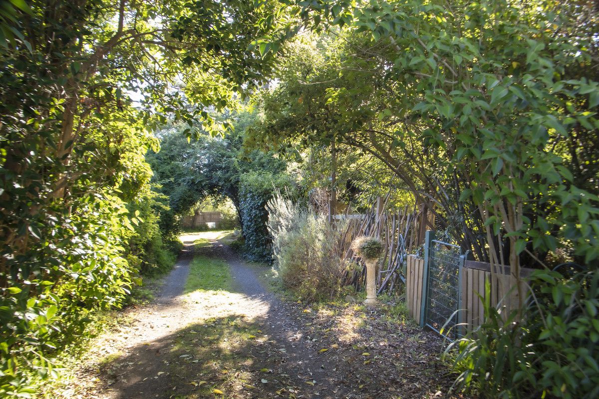 63 Woodhouse Grove, Box Hill North VIC 3129 Domain