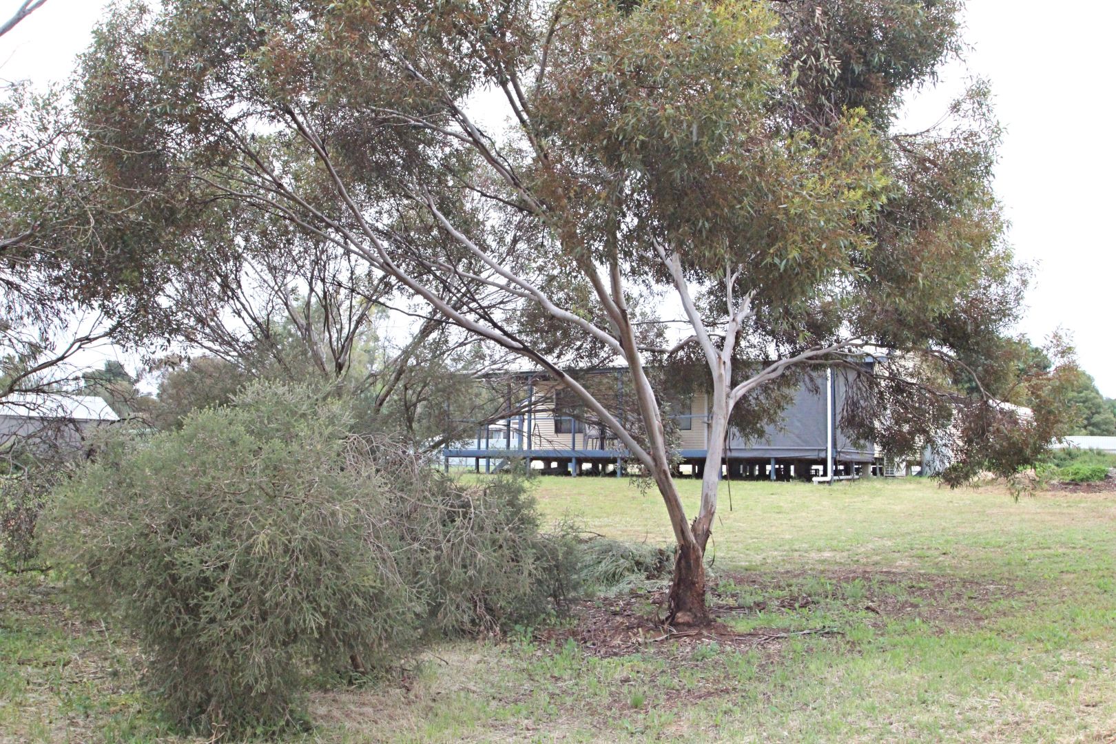 2 ST JUSTS PLACE, Burra SA 5417, Image 1