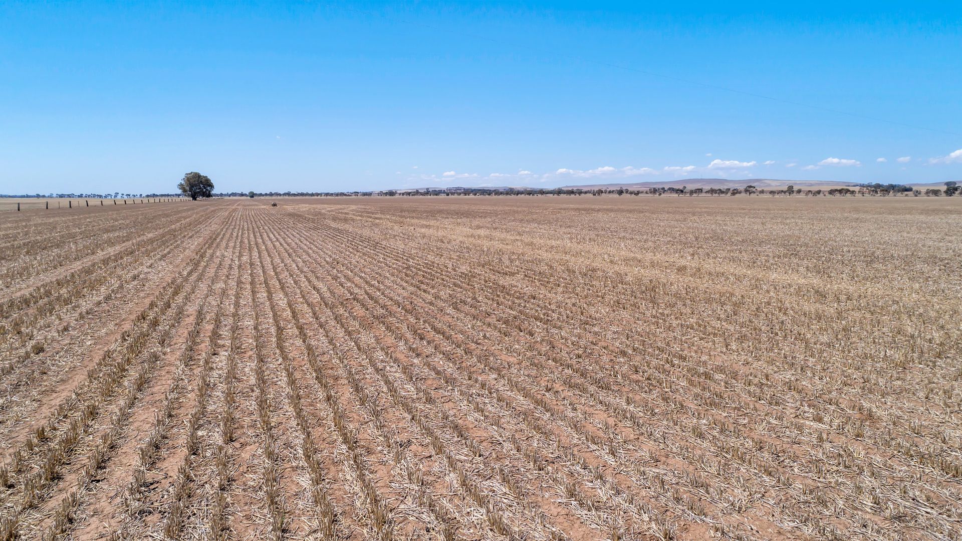 "Merilden" Merilden Road, Mintaro SA 5415, Image 1