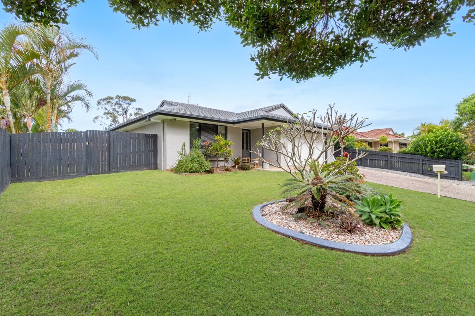 4 bedrooms House in 17 Livistona Crescent CURRIMUNDI QLD, 4551