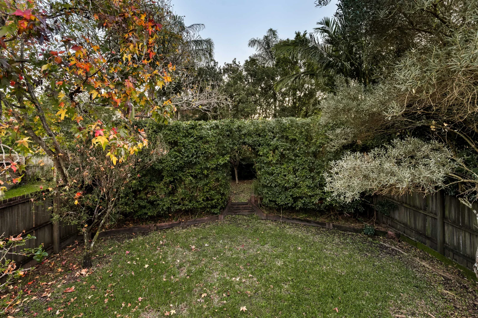 Image 13