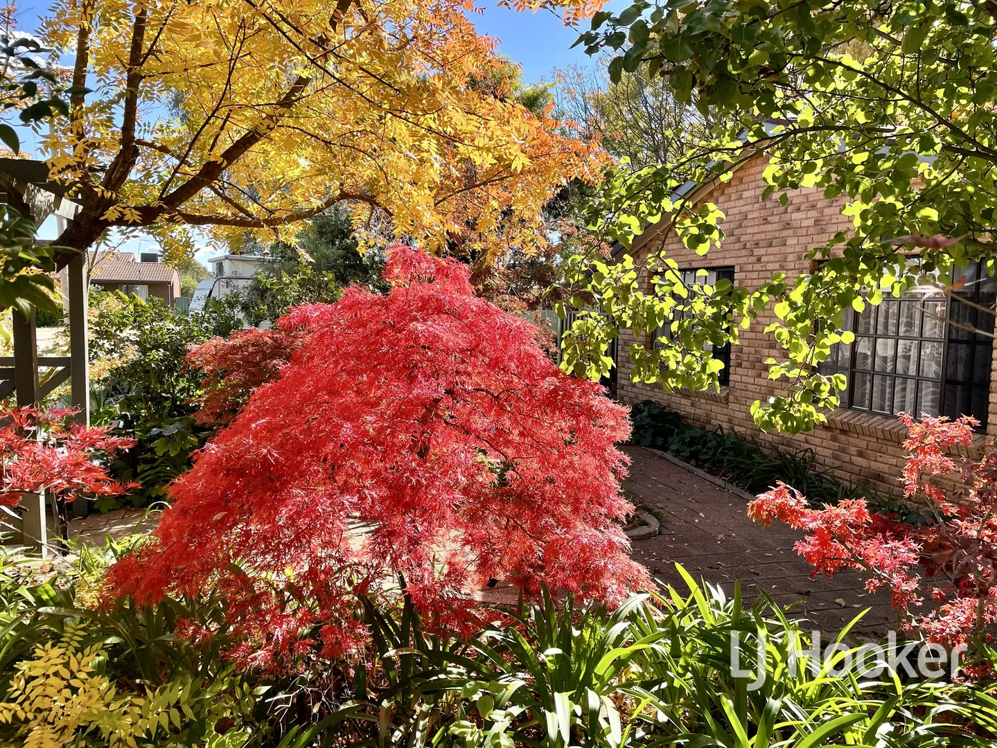 Additional image 15 of 24 Zircon Street, Inverell NSW 2360