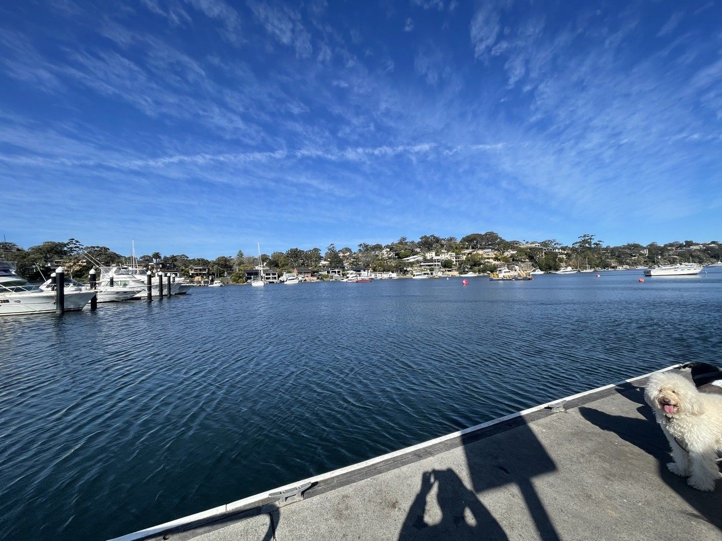 3 bedrooms House in 7 Wonga Road YOWIE BAY NSW, 2228