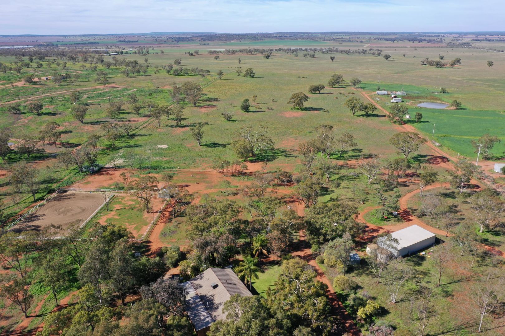 Leeton NSW 2705 House for Sale Domain