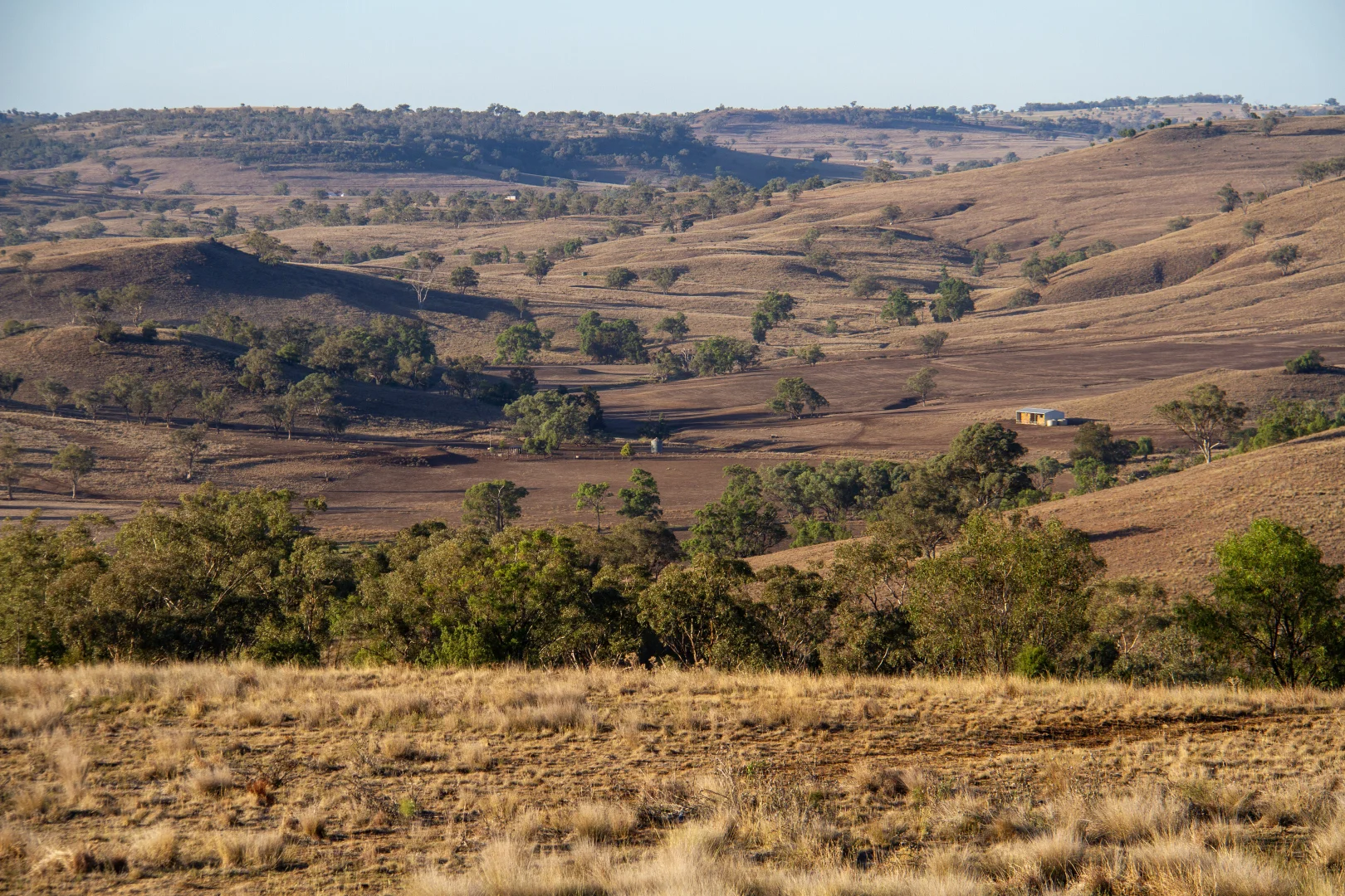 Image 31