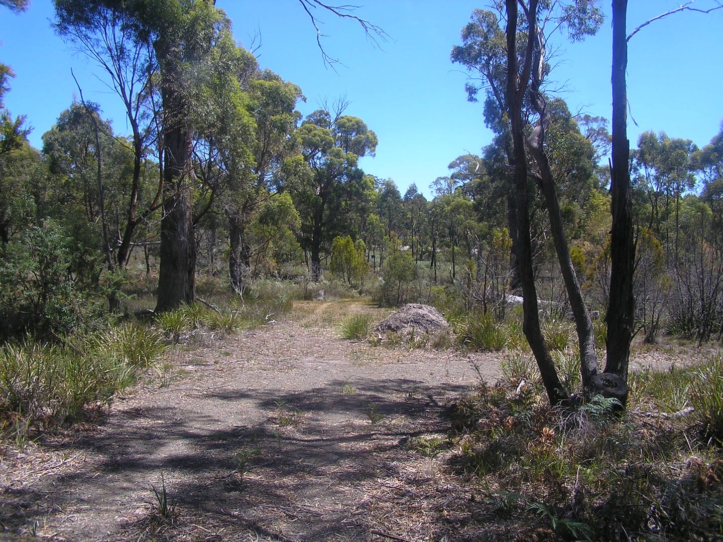 Lot 2, 104 Sally Peak Road, Buckland TAS 7190, Image 2